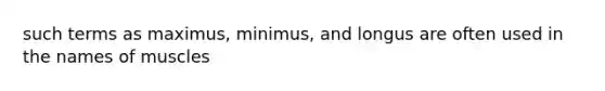 such terms as maximus, minimus, and longus are often used in the names of muscles