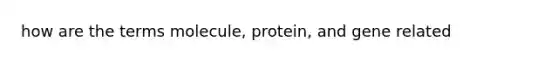 how are the terms molecule, protein, and gene related