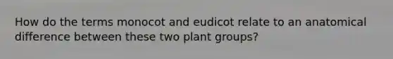 How do the terms monocot and eudicot relate to an anatomical difference between these two plant groups?