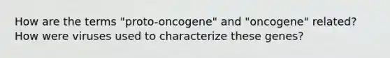 How are the terms "proto-oncogene" and "oncogene" related? How were viruses used to characterize these genes?