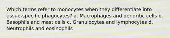 Which terms refer to monocytes when they differentiate into tissue-specific phagocytes? a. Macrophages and dendritic cells b. Basophils and mast cells c. Granulocytes and lymphocytes d. Neutrophils and eosinophils