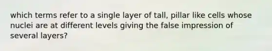 which terms refer to a single layer of tall, pillar like cells whose nuclei are at different levels giving the false impression of several layers?