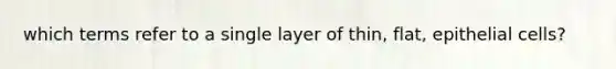 which terms refer to a single layer of thin, flat, epithelial cells?