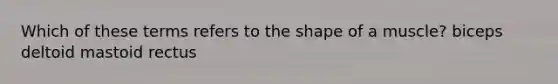 Which of these terms refers to the shape of a muscle? biceps deltoid mastoid rectus