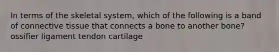 In terms of the skeletal system, which of the following is a band of connective tissue that connects a bone to another bone? ossifier ligament tendon cartilage