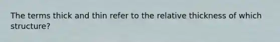 The terms thick and thin refer to the relative thickness of which structure?