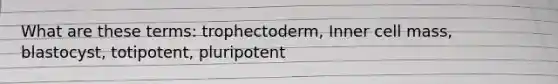 What are these terms: trophectoderm, Inner cell mass, blastocyst, totipotent, pluripotent