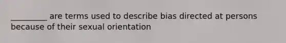 _________ are terms used to describe bias directed at persons because of their sexual orientation