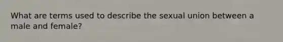 What are terms used to describe the sexual union between a male and female?