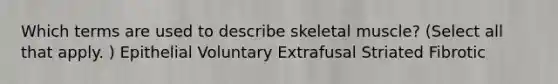 Which terms are used to describe skeletal muscle? (Select all that apply. ) Epithelial Voluntary Extrafusal Striated Fibrotic