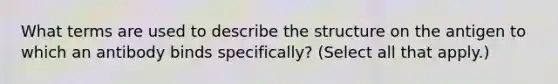 What terms are used to describe the structure on the antigen to which an antibody binds specifically? (Select all that apply.)