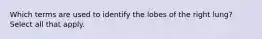 Which terms are used to identify the lobes of the right lung? Select all that apply.