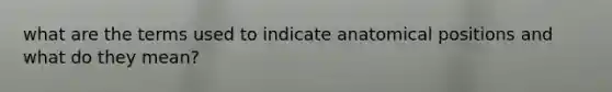 what are the terms used to indicate anatomical positions and what do they mean?