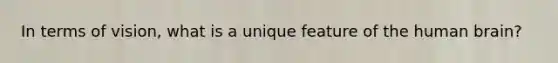 In terms of vision, what is a unique feature of the human brain?