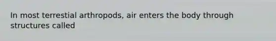 In most terrestial arthropods, air enters the body through structures called