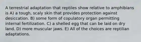 A terrestrial adaptation that reptiles show relative to amphibians is A) a tough, scaly skin that provides protection against desiccation. B) some form of copulatory organ permitting internal fertilization. C) a shelled egg that can be laid on dry land. D) more muscular jaws. E) All of the choices are reptilian adaptations.