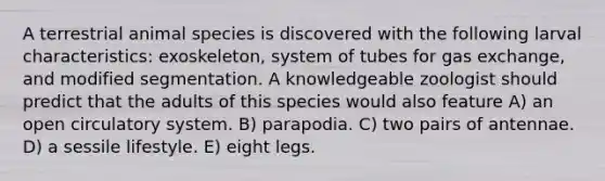 A terrestrial animal species is discovered with the following larval characteristics: exoskeleton, system of tubes for gas exchange, and modified segmentation. A knowledgeable zoologist should predict that the adults of this species would also feature A) an open circulatory system. B) parapodia. C) two pairs of antennae. D) a sessile lifestyle. E) eight legs.