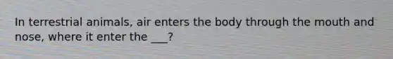 In terrestrial animals, air enters the body through <a href='https://www.questionai.com/knowledge/krBoWYDU6j-the-mouth' class='anchor-knowledge'>the mouth</a> and nose, where it enter the ___?