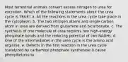 Most terrestrial animals convert excess nitrogen to urea for excretion. Which of the following statements about the urea cycle is TRUE? a. All the reactions in the urea cycle take place in the cytoplasm. b. The two nitrogen atoms and single carbon atom in urea are derived from glutamine and bicarbonate. c. The synthesis of one molecule of urea requires two high-energy phosphate bonds and the reducing potential of two NADHs. d. One of the intermediates in the urea cycle is the amino acid arginine. e. Defects in the first reaction in the urea cycle (catalyzed by carbamoyl phosphate synthetase I) cause phenylketonuria.