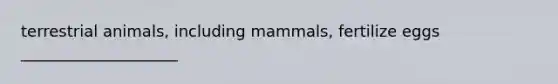 terrestrial animals, including mammals, fertilize eggs ____________________