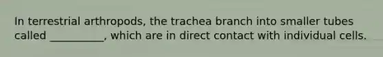 In terrestrial arthropods, the trachea branch into smaller tubes called __________, which are in direct contact with individual cells.