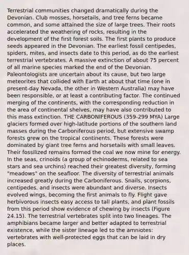 Terrestrial communities changed dramatically during the Devonian. Club mosses, horsetails, and tree ferns became common, and some attained the size of large trees. Their roots accelerated the weathering of rocks, resulting in the development of the first forest soils. The first plants to produce seeds appeared in the Devonian. The earliest fossil centipedes, spiders, mites, and insects date to this period, as do the earliest terrestrial vertebrates. A massive extinction of about 75 percent of all marine species marked the end of the Devonian. Paleontologists are uncertain about its cause, but two large meteorites that collided with Earth at about that time (one in present-day Nevada, the other in Western Australia) may have been responsible, or at least a contributing factor. The continued merging of the continents, with the corresponding reduction in the area of continental shelves, may have also contributed to this mass extinction. THE CARBONIFEROUS (359-299 MYA) Large glaciers formed over high-latitude portions of the southern land masses during the Carboniferous period, but extensive swamp forests grew on the tropical continents. These forests were dominated by giant tree ferns and horsetails with small leaves. Their fossilized remains formed the coal we now mine for energy. In the seas, crinoids (a group of echinoderms, related to sea stars and sea urchins) reached their greatest diversity, forming "meadows" on the seafloor. The diversity of terrestrial animals increased greatly during the Carboniferous. Snails, scorpions, centipedes, and insects were abundant and diverse. Insects evolved wings, becoming the first animals to fly. Flight gave herbivorous insects easy access to tall plants, and plant fossils from this period show evidence of chewing by insects (Figure 24.15). The terrestrial vertebrates split into two lineages. The amphibians became larger and better adapted to terrestrial existence, while the sister lineage led to the amniotes: vertebrates with well-protected eggs that can be laid in dry places.