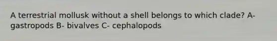 A terrestrial mollusk without a shell belongs to which clade? A- gastropods B- bivalves C- cephalopods