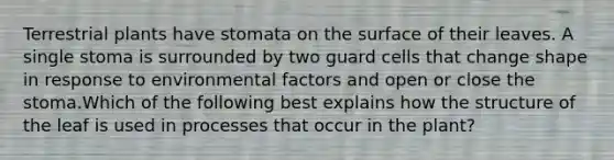 Terrestrial plants have stomata on the surface of their leaves. A single stoma is surrounded by two guard cells that change shape in response to environmental factors and open or close the stoma.Which of the following best explains how the structure of the leaf is used in processes that occur in the plant?