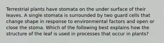 Terrestrial plants have stomata on the under surface of their leaves. A single stomata is surrounded by two guard cells that change shape in response to environmental factors and open or close the stoma. Which of the following best explains how the structure of the leaf is used in processes that occur in plants?