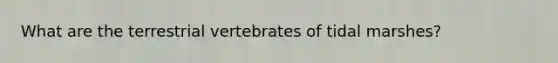 What are the terrestrial vertebrates of tidal marshes?
