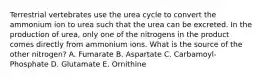 Terrestrial vertebrates use the urea cycle to convert the ammonium ion to urea such that the urea can be excreted. In the production of urea, only one of the nitrogens in the product comes directly from ammonium ions. What is the source of the other nitrogen? A. Fumarate B. Aspartate C. Carbamoyl-Phosphate D. Glutamate E. Ornithine