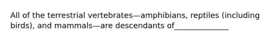 All of the terrestrial vertebrates—amphibians, reptiles (including birds), and mammals—are descendants of______________