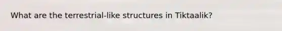 What are the terrestrial-like structures in Tiktaalik?
