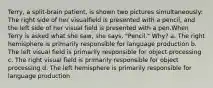 Terry, a split-brain patient, is shown two pictures simultaneously: The right side of her visualfield is presented with a pencil, and the left side of her visual field is presented with a pen.When Terry is asked what she saw, she says, "Pencil." Why? a. The right hemisphere is primarily responsible for language production b. The left visual field is primarily responsible for object processing c. The right visual field is primarily responsible for object processing d. The left hemisphere is primarily responsible for language production