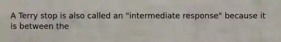 A Terry stop is also called an "intermediate response" because it is between the