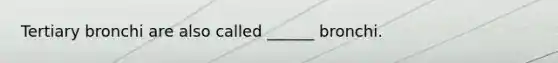 Tertiary bronchi are also called ______ bronchi.