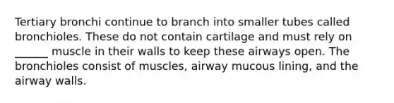 Tertiary bronchi continue to branch into smaller tubes called bronchioles. These do not contain cartilage and must rely on ______ muscle in their walls to keep these airways open. The bronchioles consist of muscles, airway mucous lining, and the airway walls.