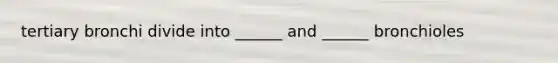 tertiary bronchi divide into ______ and ______ bronchioles