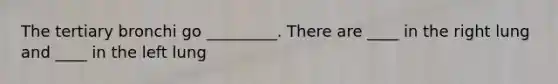 The tertiary bronchi go _________. There are ____ in the right lung and ____ in the left lung