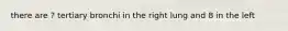 there are ? tertiary bronchi in the right lung and 8 in the left