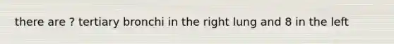there are ? tertiary bronchi in the right lung and 8 in the left