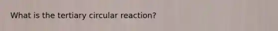 What is the tertiary circular reaction?