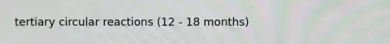 tertiary circular reactions (12 - 18 months)