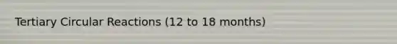 Tertiary Circular Reactions (12 to 18 months)