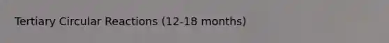 Tertiary Circular Reactions (12-18 months)