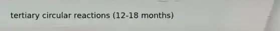 tertiary circular reactions (12-18 months)