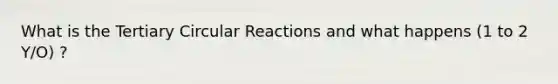 What is the Tertiary Circular Reactions and what happens (1 to 2 Y/O) ?