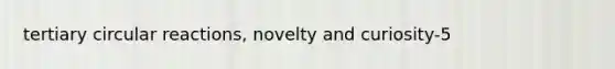 tertiary circular reactions, novelty and curiosity-5