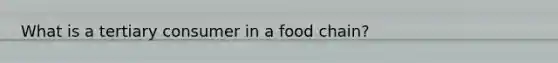 What is a tertiary consumer in a food chain?