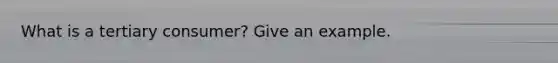 What is a tertiary consumer? Give an example.